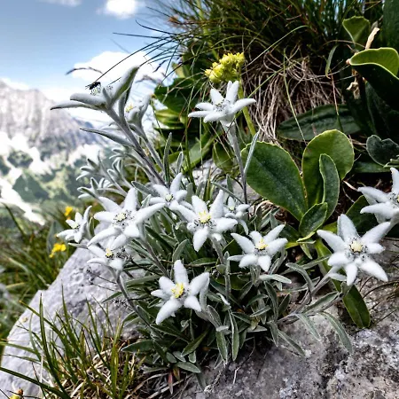 宾馆 Naturhotel Eng