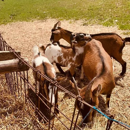 Naturhotel Eng Hinterriß