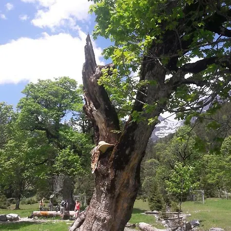 Das Naturhotel Die Eng
