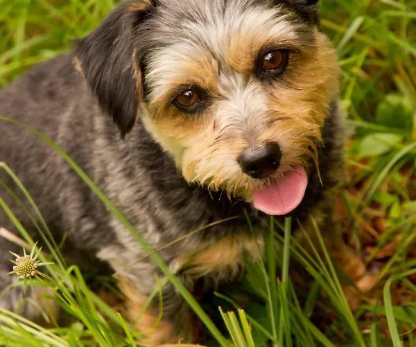 Naturhotel Eng Hinterriss