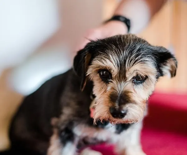 Naturhotel Eng Hinterriss