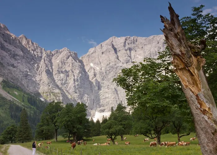 Naturhotel Eng Han/Misafirhane Hinterriss