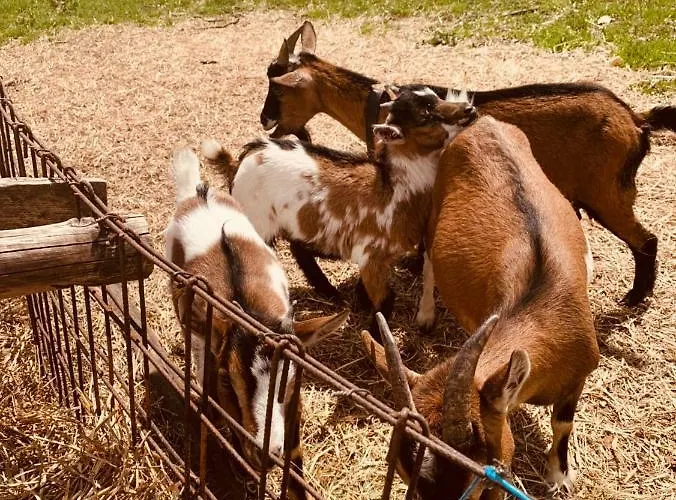 Naturhotel Eng Hinterriss