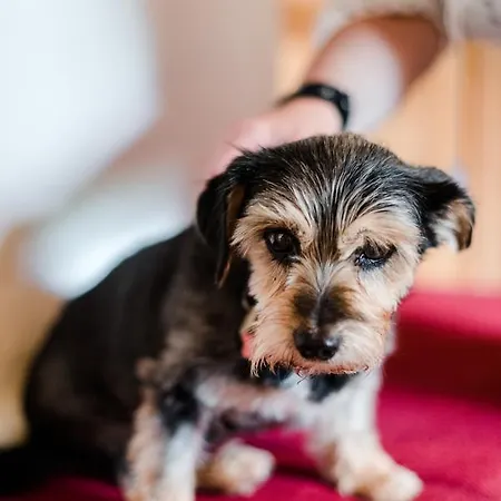 Naturhotel Eng 힌테리스