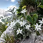 بيت ريفي Naturhotel Eng